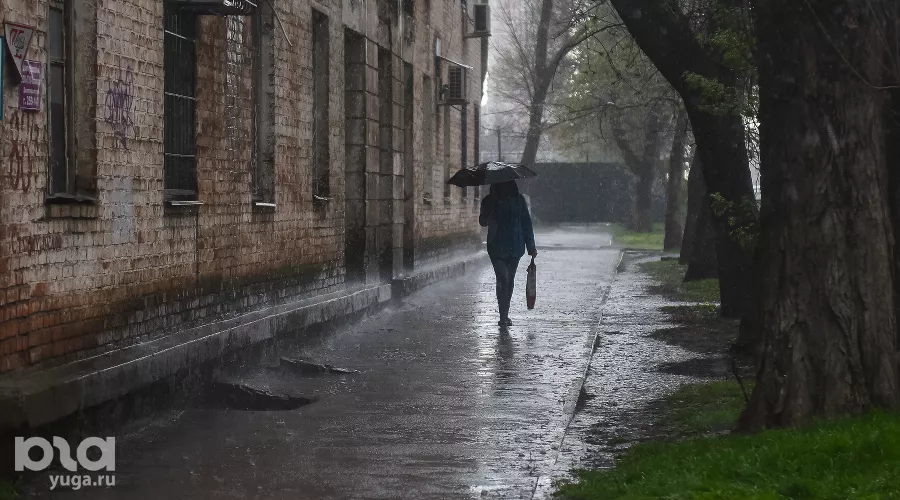  &copy;&nbsp;Фото Елены Синеок, Юга.ру