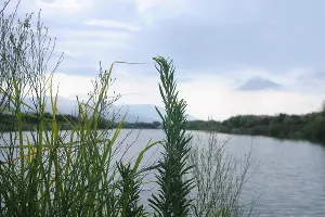 Кластер орнитологического парка &copy;&nbsp;Фото Яры Гуляевой, Юга.ру