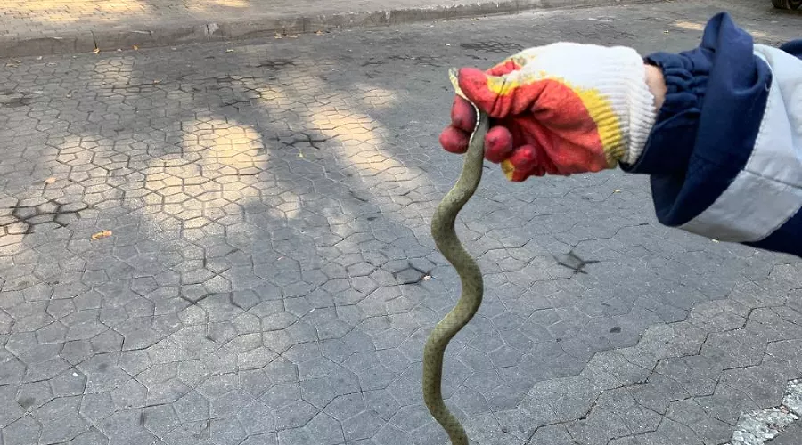  &copy;&nbsp;Фото пресс-службы &laquo;Кубань-СПАС&raquo;