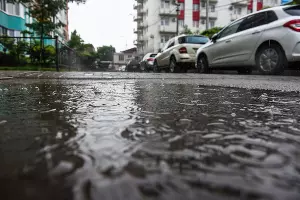  &copy;&nbsp;Фото Елены Синеок, Юга.ру