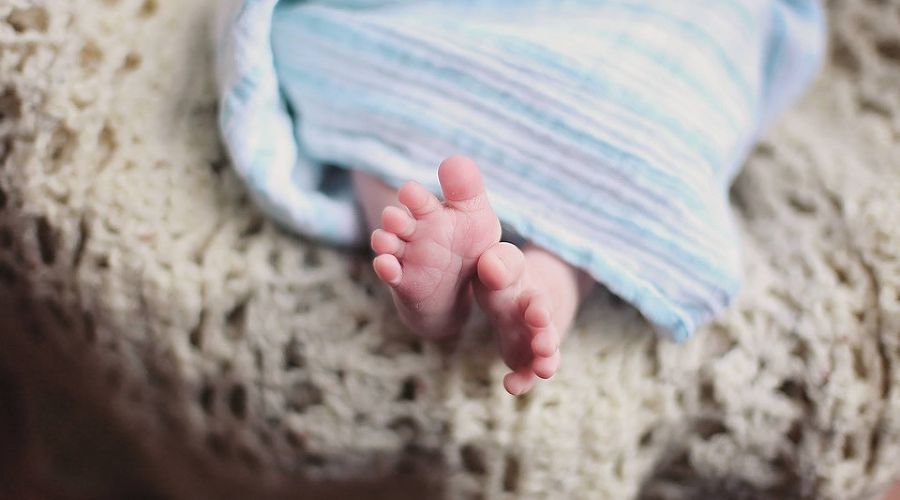  &copy;&nbsp;Фото с сайта pixabay.com