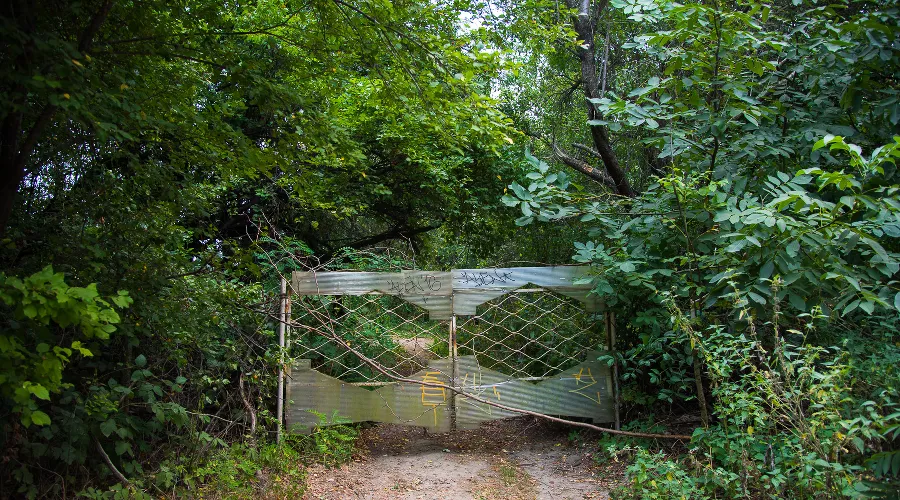 Большой остров &copy;&nbsp;Фото Елены Синеок, Юга.ру