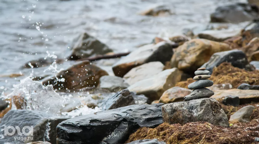  &copy;&nbsp;Фото Елены Синеок, Юга.ру