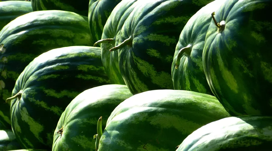  &copy;&nbsp;Фото с сайта pixabay.com