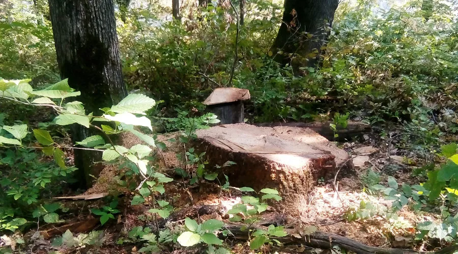  &copy;&nbsp;Фото пресс-службы ГУ МЧС России по Республике Адыгея