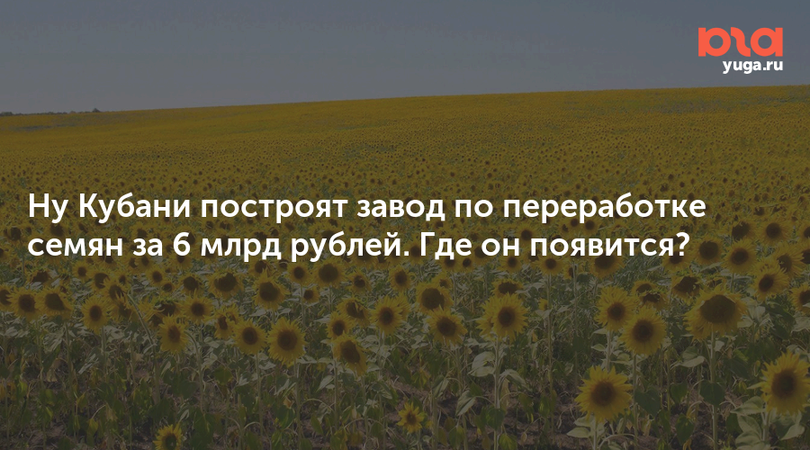 Ну Кубани построят завод по переработке семян за 6 млрд рублей. Где он появится?