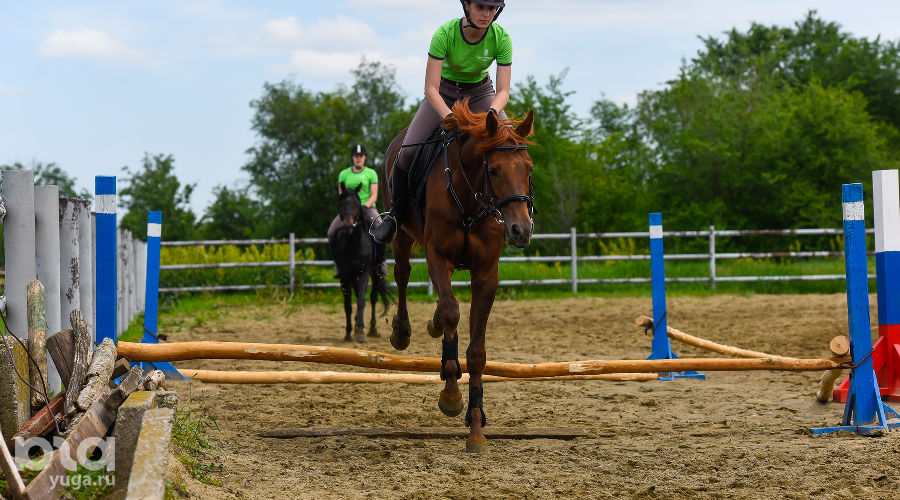  © Фото Елены Синеок, Юга.ру