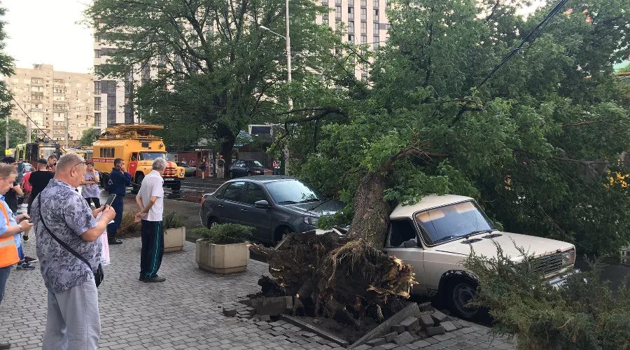  &copy;&nbsp;Фото Марии Томилиной, Юга.ру