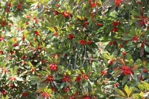  &copy;&nbsp;Фото пресс-службы сочинского нацпарка