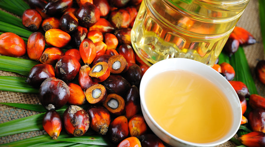  &copy;&nbsp;Фото с сайта uppa.it