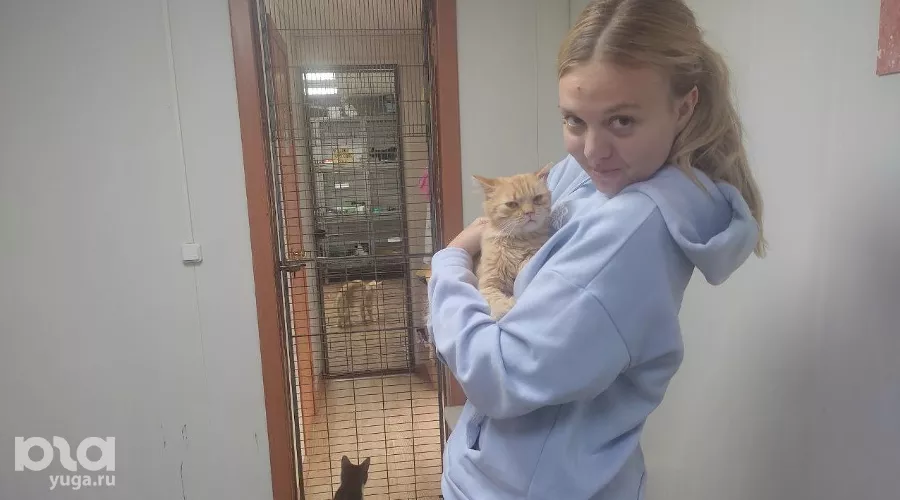  &copy;&nbsp;Фото Иолины Грибковой, Юга.ру