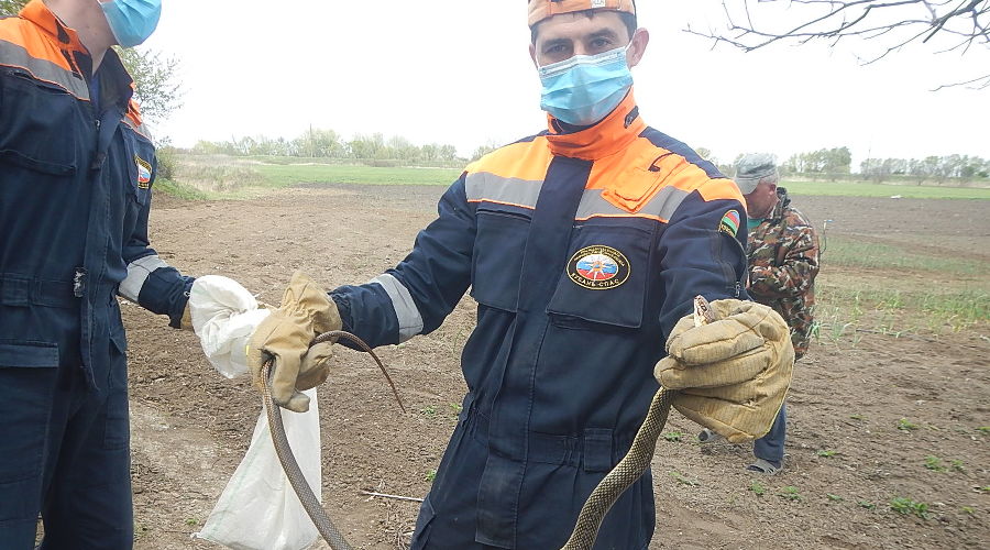  © фото пресс-службы «Кубань-СПАС»