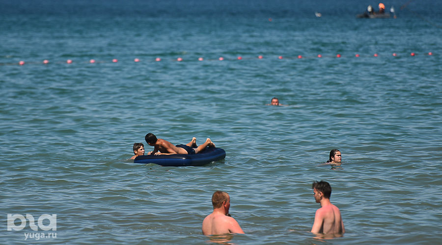  © Фото Елены Синеок, Юга.ру