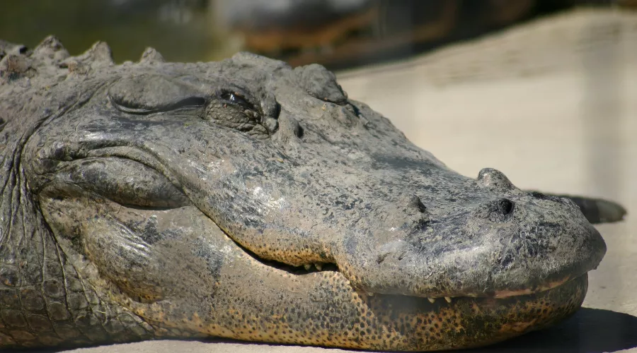  &copy;&nbsp;Фото James Lee, Unsplash.com