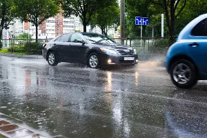  &copy;&nbsp;Фото Елены Синеок, Юга.ру