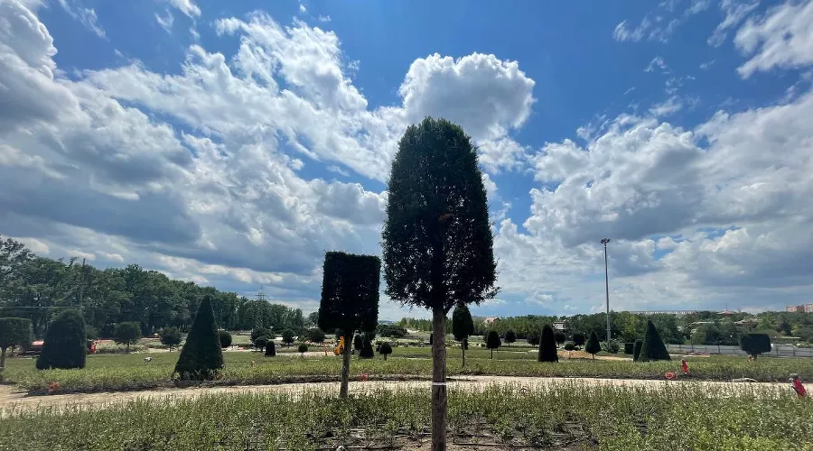  &copy;&nbsp;Фото из телеграм-канала t.me/edinakgardens