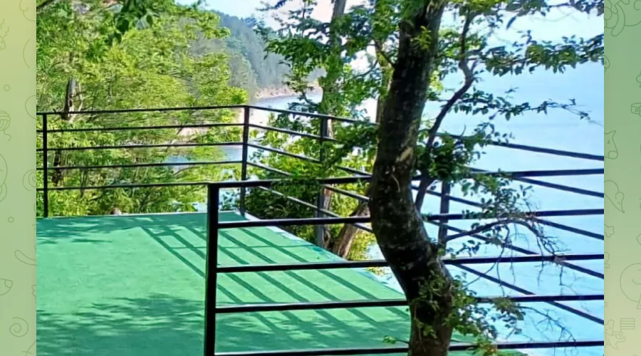 Смотровая площадка на скале Киселева в 5 км к северо-западу от Туапсе &copy;&nbsp;Скриншот публикации в телеграм-канале Сергея Бойко, t.me/glavatuapseregion