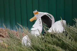  &copy;&nbsp;Фото Дениса Яковлева, Юга.ру