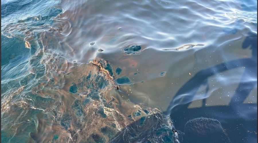  © Скриншот из телеграм-канала Юрия Озаровского https://t.me/MoreOz/105083