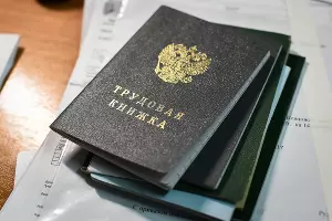 Трудовая книжка &copy;&nbsp;Фото Елены Синеок, Юга.ру