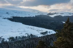 За снегом на Volkswagen Teramont &copy;&nbsp;Фото Елены Синеок, Юга.ру
