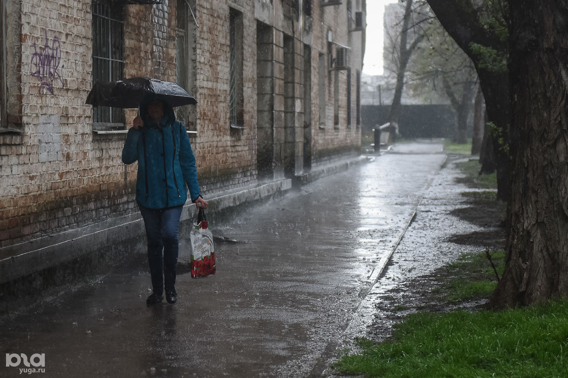 Дождливый март. Дождливый день. Дождь на улице. Дождевой дождливый. "Дождливый вечер".