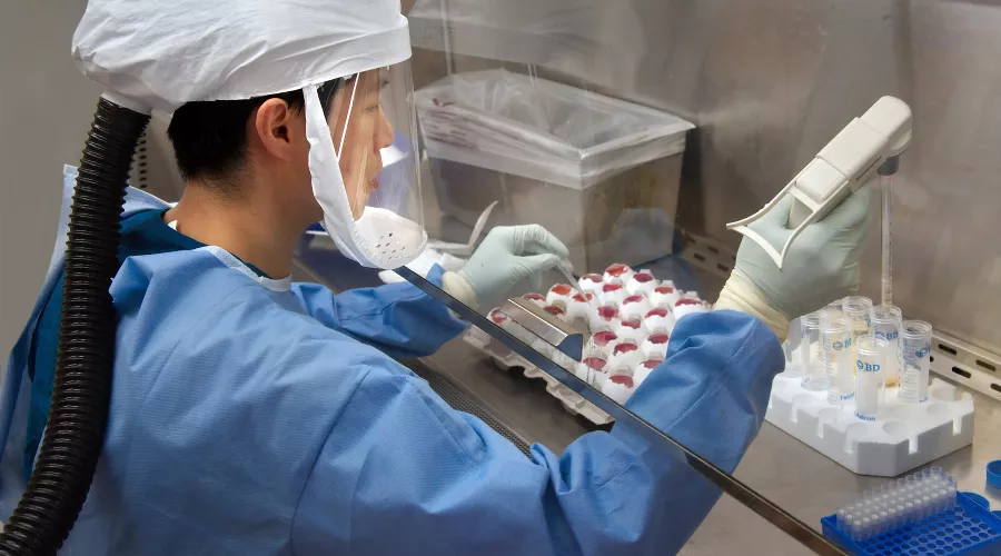  &copy;&nbsp;Фото CDC, unsplash.com