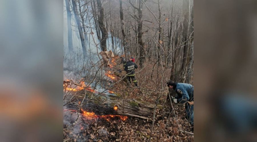  &copy;&nbsp;Фото пресс-службы ГУ МЧС России по Краснодарскому краю