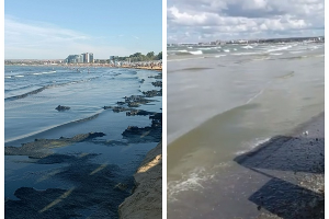  &copy;&nbsp;Скриншот из телеграм-канала эколога Романа Пукалова https://t.me/Roman_eco/2130