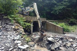  © Фото пресс-службы Кавказского биосферного заповедника