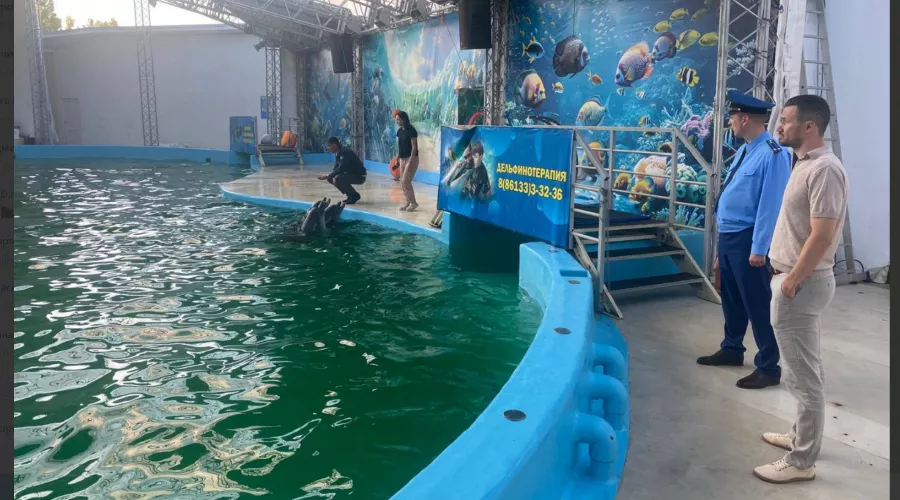  &copy;&nbsp;Скриншот фото из телеграм-канала &laquo;Прокуратура Краснодарского края&raquo;