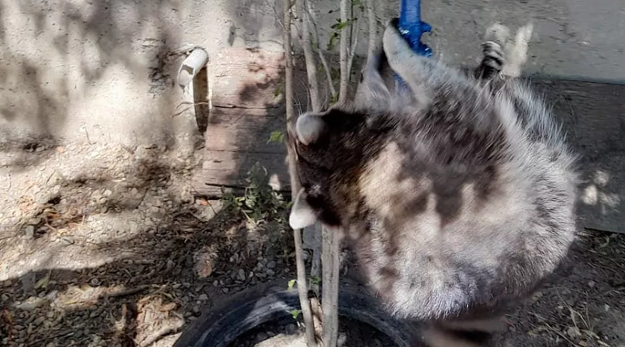  &copy;&nbsp;Фото со страницы Алексея Одерова instagram.com/alekseioderov