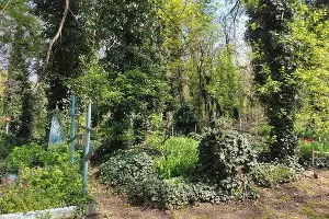 Дубинское кладбище &copy;&nbsp;Фото Иолины Грибковой, Юга.ру