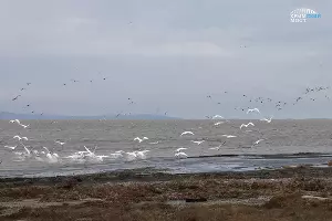  &copy;&nbsp;Фото инфоцентра &laquo;Крымский мост&raquo;