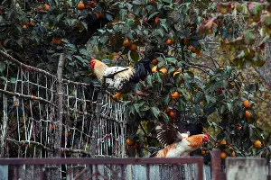  &copy;&nbsp;Фото Екатерины Штыбиной