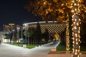 Парк «Краснодар»  с новогодней подсветкой &copy;&nbsp;Фото Елены Синеок, Юга.ру