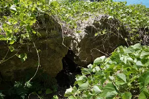 Крепость Мамай-Кале &copy;&nbsp;Фото Виталия Штыбина, zen.yandex.ru/simple_history