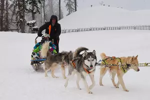 Тест-драйв SKODA Yeti в Красной Поляне &copy;&nbsp;Фото Елены Синеок, Юга.ру