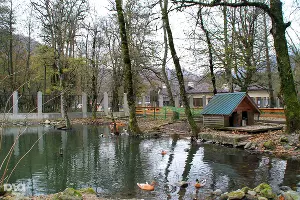 Установка "солонцов" в Кавказском заповеднике &copy;&nbsp;Ирина Лукьяшко. ЮГА.ру