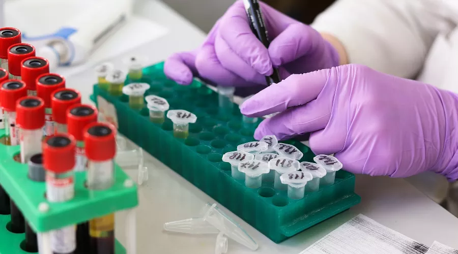  &copy;&nbsp;Фото Belova59 с сайта pixabay.com