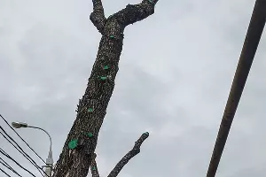  &copy;&nbsp;Фото Александры Прохоренковой-Аксеновой, Юга.ру