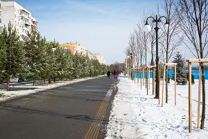  &copy;&nbsp;Фото Елены Синеок, Юга.ру