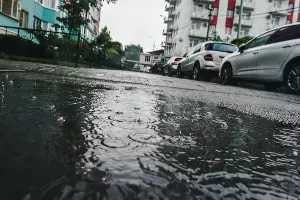  &copy;&nbsp;Фото Елены Синеок, Юга.ру