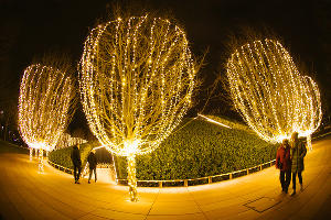 Новогодний парк &laquo;Краснодар&raquo; &copy;&nbsp;Фото Дениса Яковлева, Юга.ру