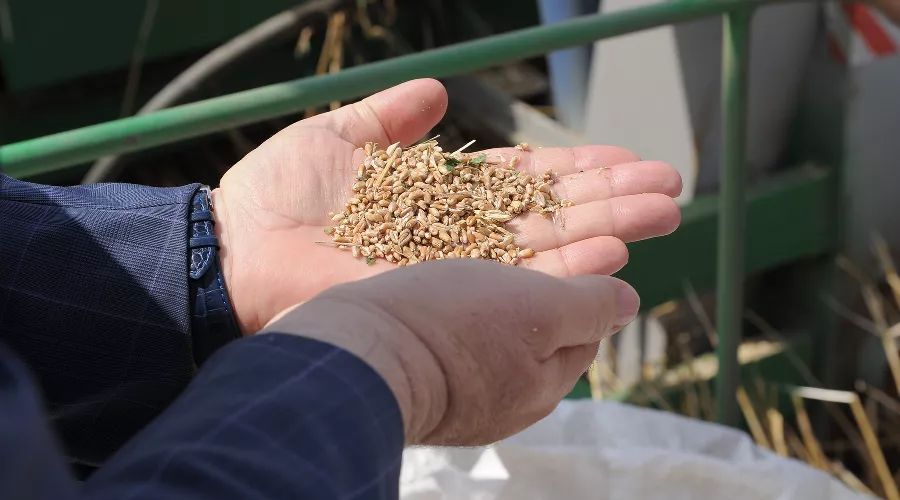  &copy;&nbsp;Фото пресс-службы ДГТУ