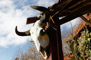 "Музей снежного человека" в Адыгее &copy;&nbsp;Влад Александров, ЮГА.ру