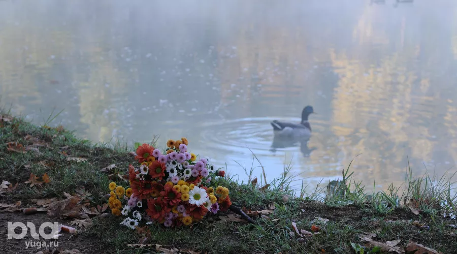  &copy;&nbsp;Фото Марины Солошко, Юга.ру