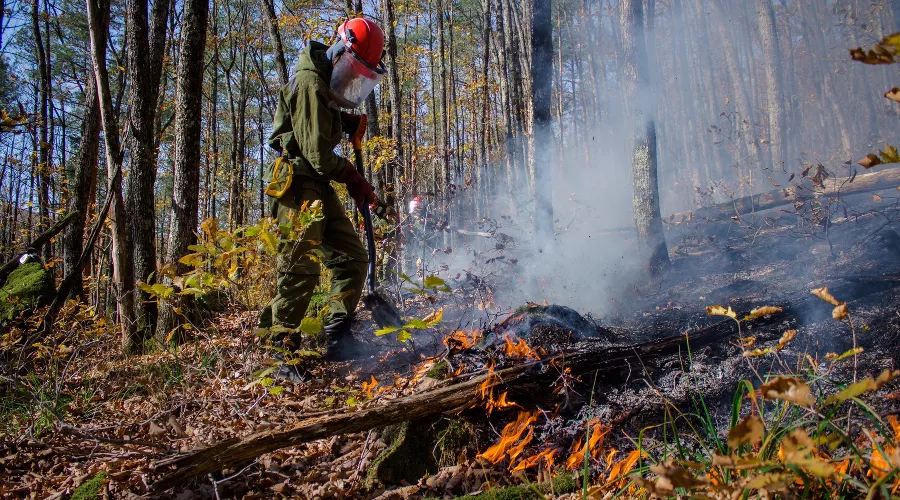  &copy;&nbsp;Фото со страницы vk.com/dobrofire