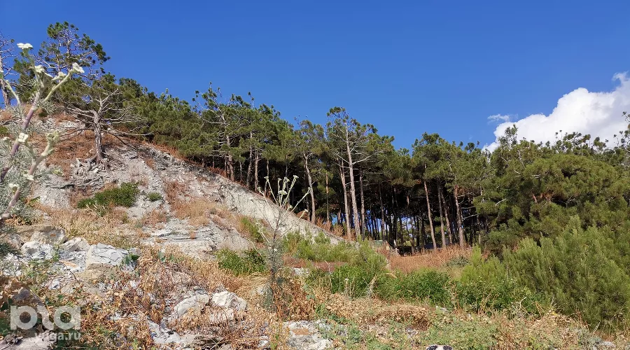 Лестница к морю в Кабардинке &copy;&nbsp;фото Марии Карагёзовой