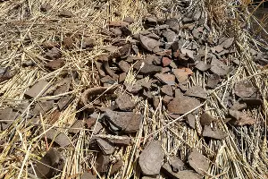  &copy;&nbsp;Фото предоставлено управлением по охране и использованию объектов культурного наследия Адыгеи